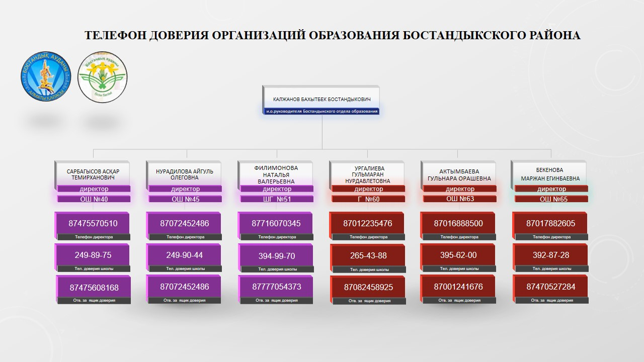 Телефон доверия организаций образования Бостандыкского района » КГУ  «Общеобразовательная школа №65» Управления образования г.Алматы