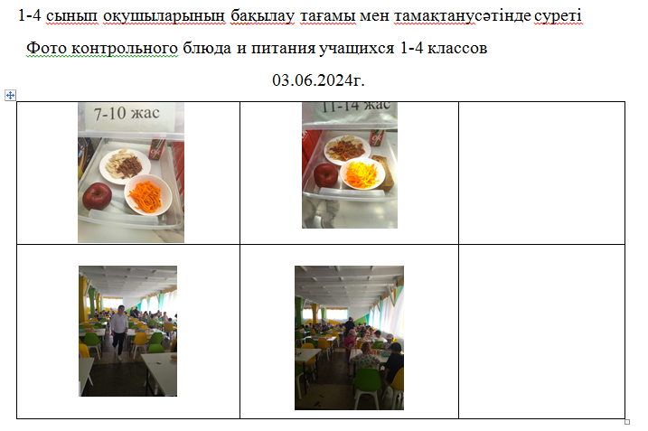 Мектеп жанындағы лагерьдің тегін мәзірі 03.06.2024 ж./// Бесплатное меню пришкольного лагеря 03.06.2024г