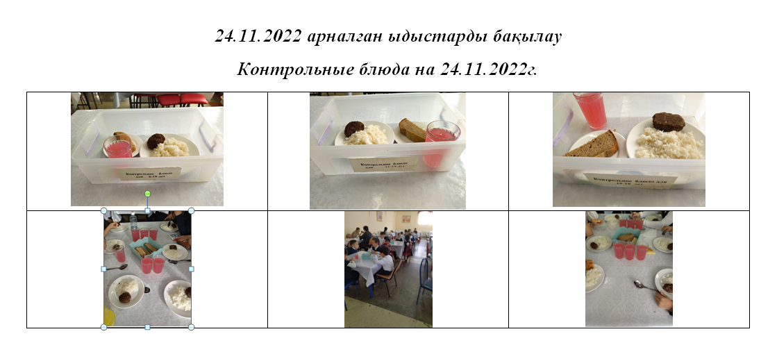 24.11.2022 тегін және ақылы мәзір/// Бесплатное и  платное меню за  24.11.2022г