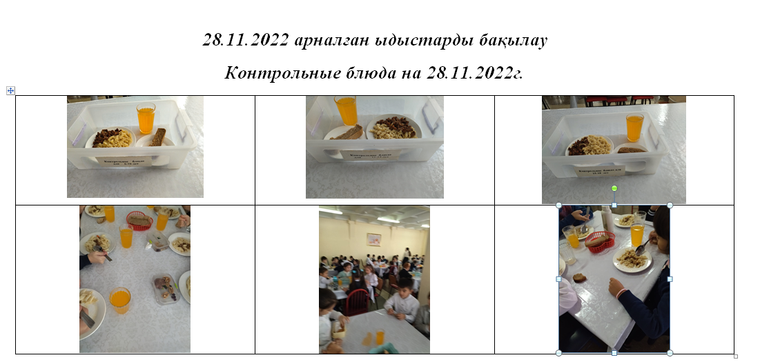 28.11.2022 жылға арналған ақылы және тегін мәзір.// Платное и бесплатное меню на 28.11.2022г.