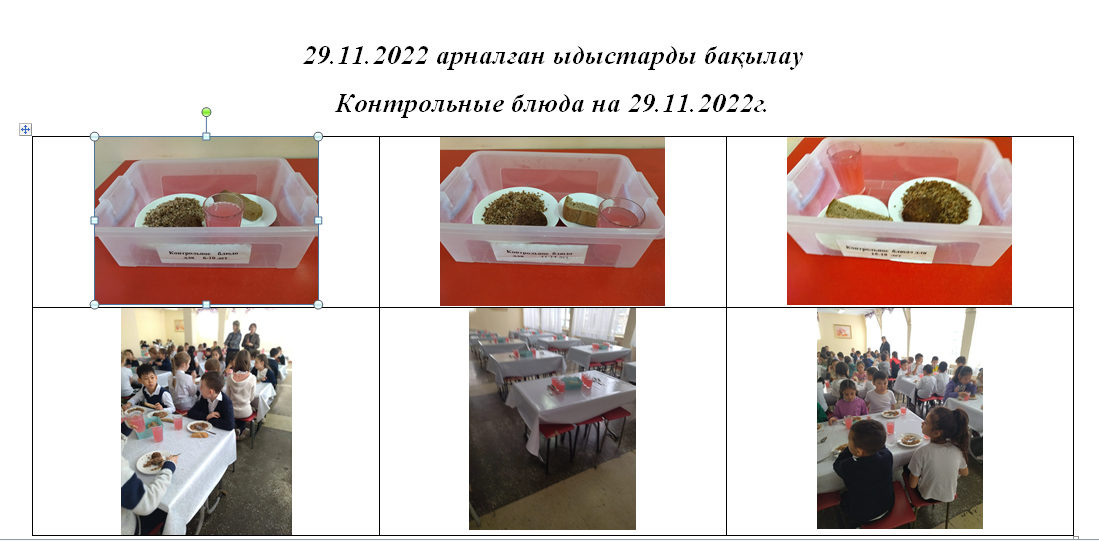 29.11.2022 тегін және ақылы мәзір.///Бесплатное и платное меню на 29.11.2022г.