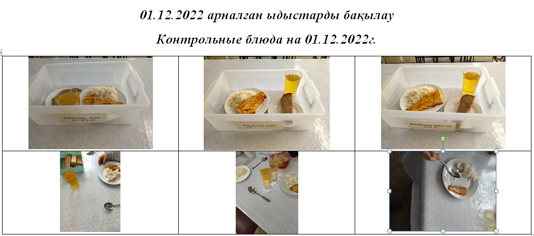 Ақылы және тегін мәзір 01.12.2022 ж.// Платное и бесплатное меню 01.12.2022г.