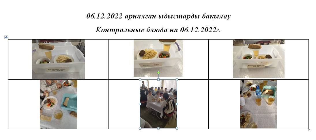 12.06.2022 жылға арналған ақылы және тегін мәзір.// Платное и бесплатное меню на 06.12.2022г.