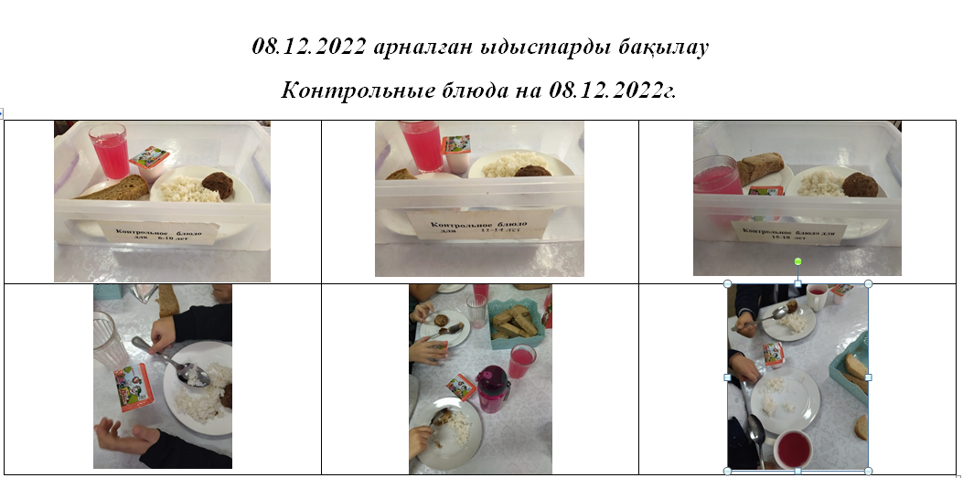 Ақылы және тегін мәзір 08.12.2022 ж.// Платное и бесплатное меню 08.12.2022г.