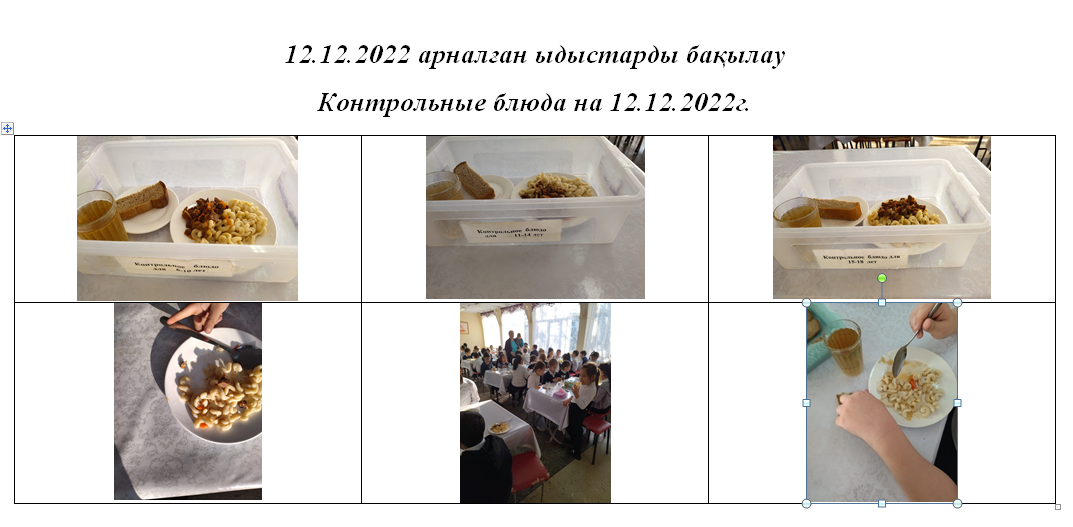 12.12.2022 жылға арналған ақылы және тегін мәзір.// Платное и бесплатное меню на 12.12.2022год.