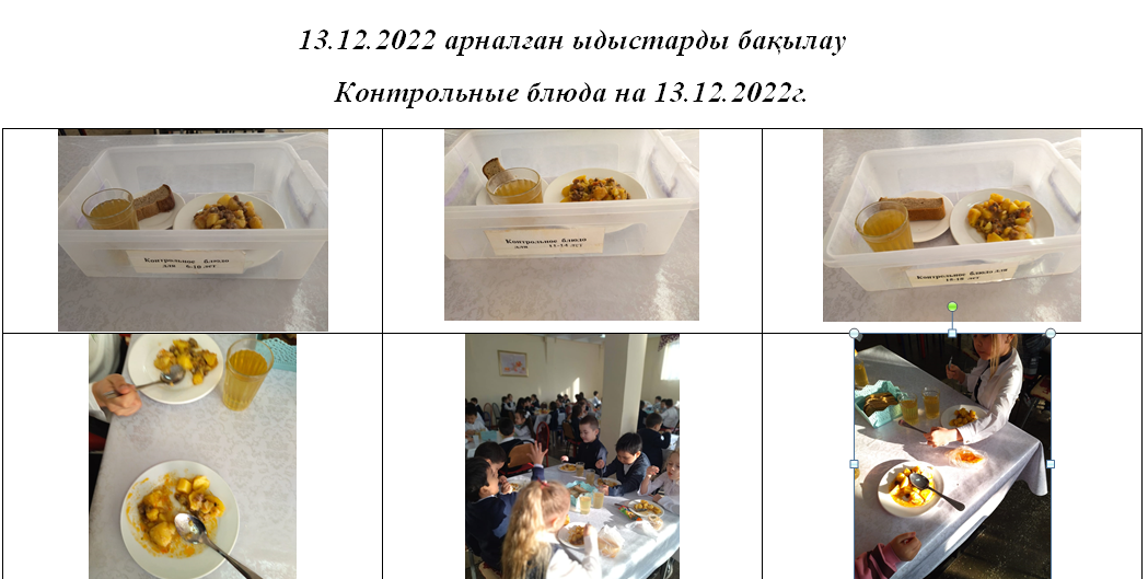 13.12.2022 жылға арналған ақылы және тегін мәзір.//Платное и бесплатное меню на 13.12.2022год.