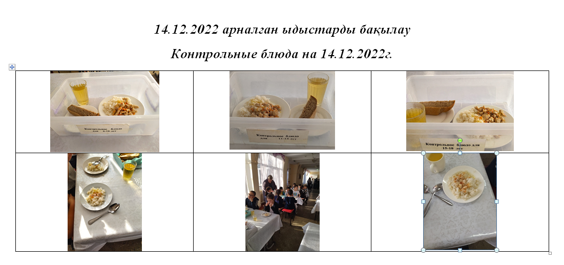 14.12.2022 жылға арналған ақылы және тегін мәзір./// Платное и бесплатное  меню на 14.12.2022год.