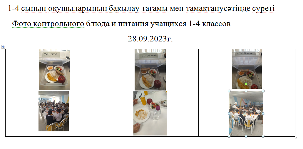 Тегін және ақылы мәзір 28.09.2023 ж.///Бесплатное и платное меню 28.09.2023г.
