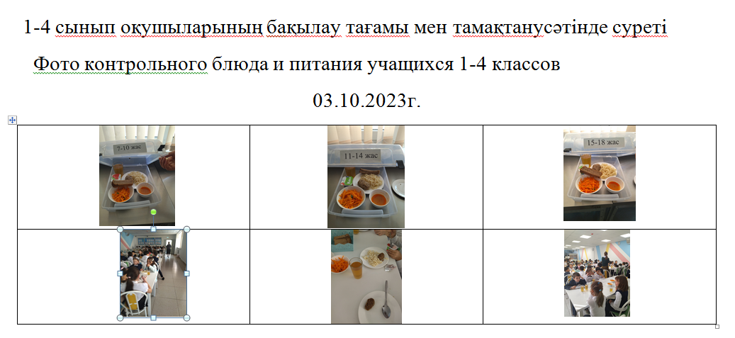 Тегін және ақылы мәзір 03.10.2023./// Бесплатное и платное меню 03.10.2023