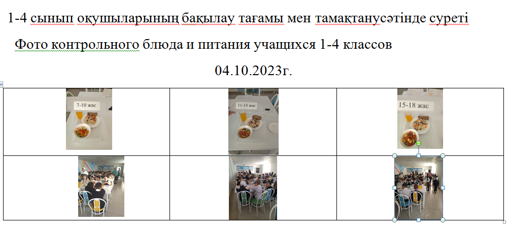 Тегін және ақылы мәзір 04.10.2023 ж./// Бесплатное и платное меню 04.10.2023г.