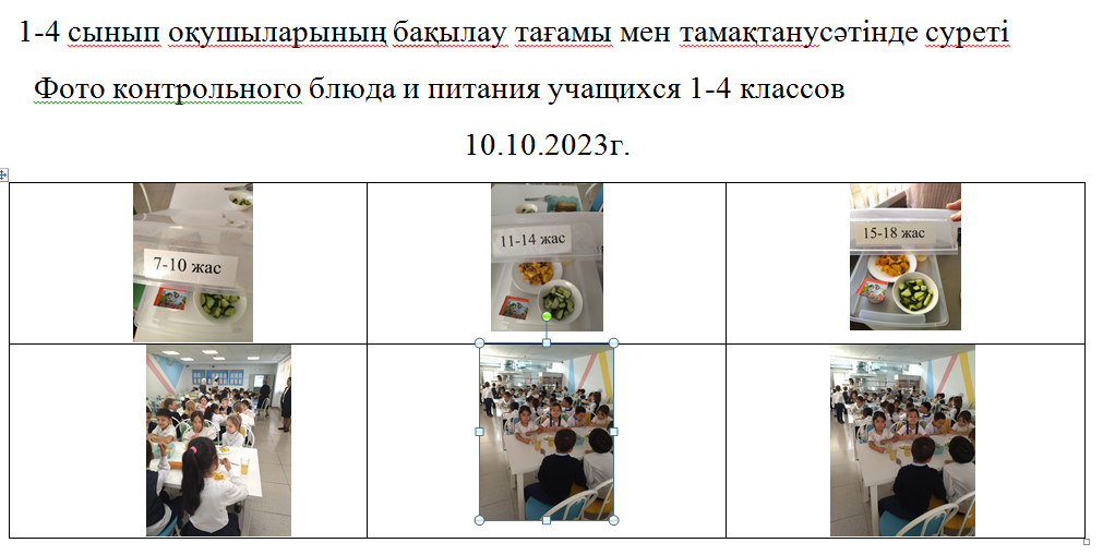 Тегін және ақылы мәзір 10.10.2023 ж./// Бесплатное и платное меню 10.10.2023г.