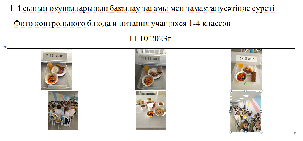Тегін және ақылы мәзір 11.10.2023 ж./// Бесплатное и платное меню 11.10.2023г.
