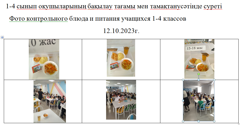 Тегін және ақылы мәзір 12.10.2023 ж./// Бесплатное и платное меню 12.10.2023г.