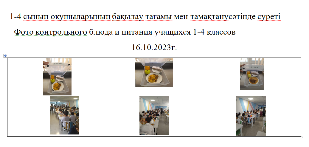 Тегін және ақылы мәзір 16.0.2023 ж./// Бесплатное и платное меню 16.10.2023г