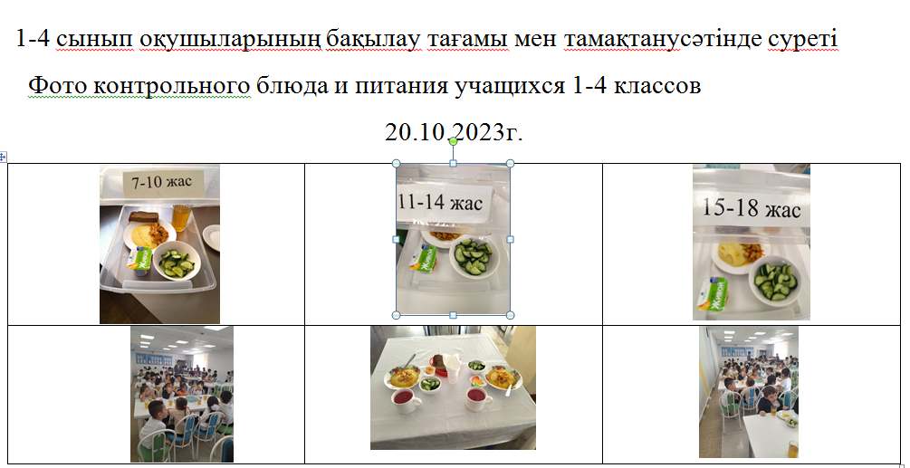 Тегін және ақылы мәзір 20.10.2023 ж./// Бесплатное  и платное меню 20.10.2023г.