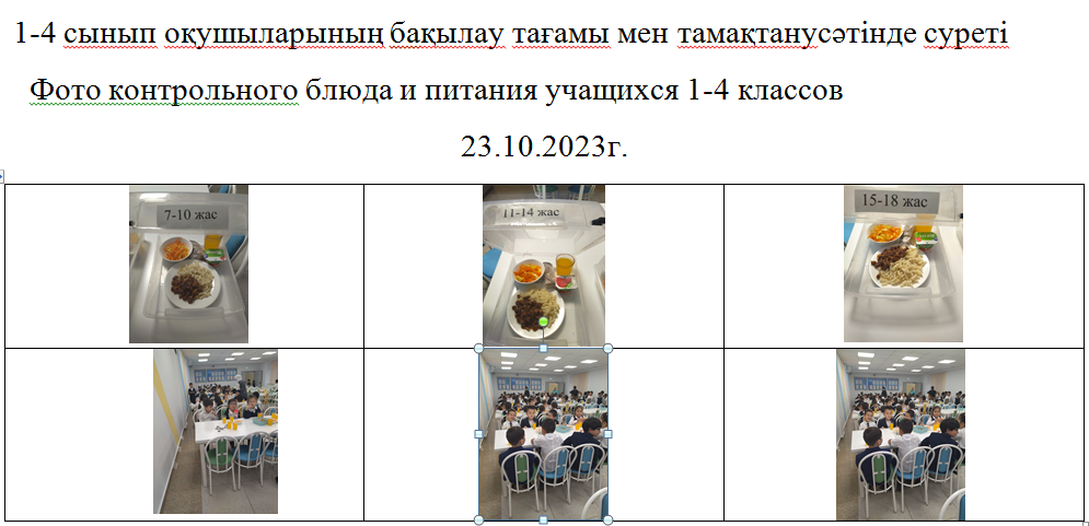 Ақылы және ақысыз мәзір 23.10.2023 ж./// Платное и бесплатное меню 23.10.2023г.