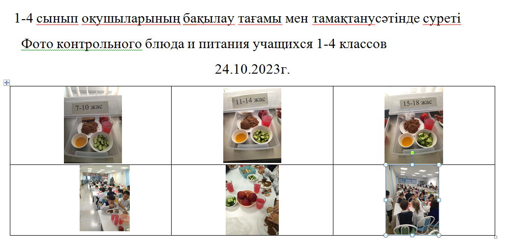 Тегін және ақылы мәзір 24.10.2023 ж. /// Бесплатное и платное меню 24.10.2023г