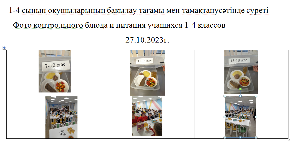 Тегін және ақылы мәзір 27.10.2023 ж./// Бесплатное и платное меню 27.10.2023г