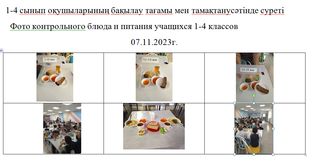 Тегін және ақылы мәзір 07.11.2023 ж./// Бесплатное и платное меню 07.11.2023г.