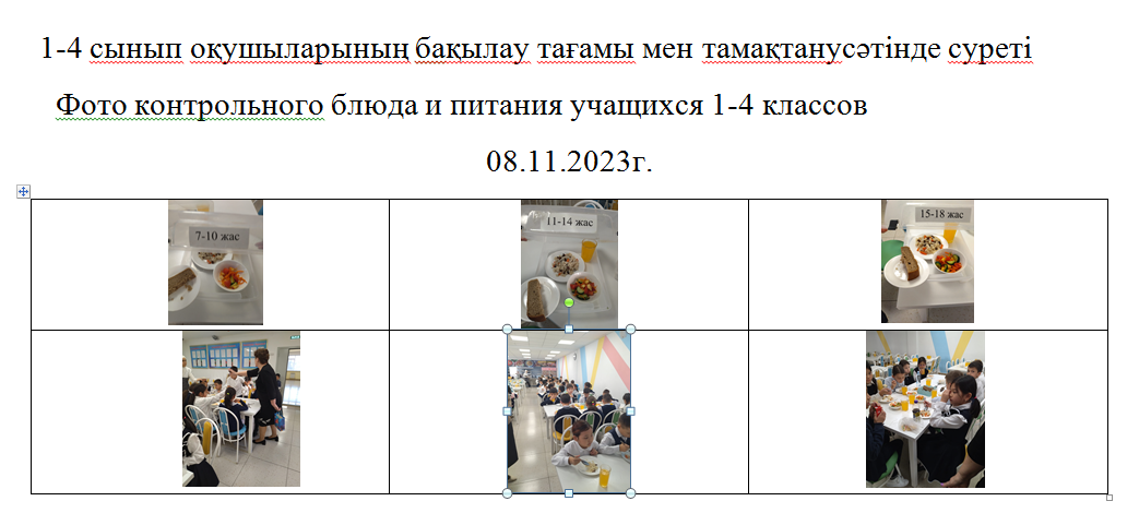 Тегін және ақылы мәзір 08.11.2023 ж.///Бесплатное и платное меню 08.11.2023г.