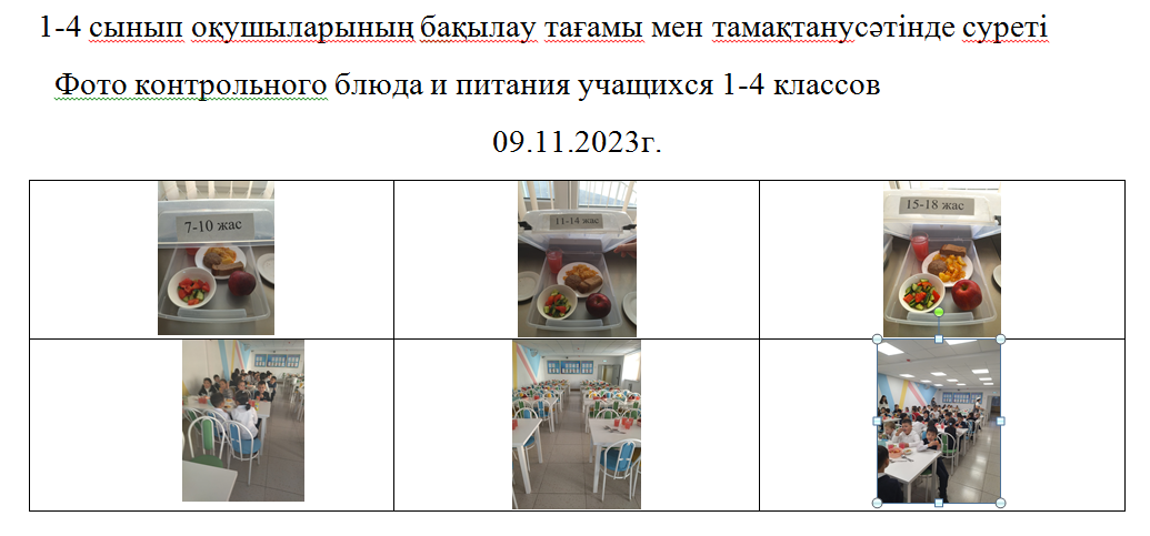 Ақылы және ақысыз мәзір 09.11.2023 ж./// Платное и бесплатное меню 09.11.2023г.