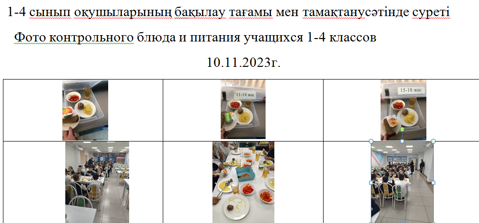 Тегін және ақылы мәзір 10.11.2023 ж./// Бесплатное и платное меню 10.11.2023г