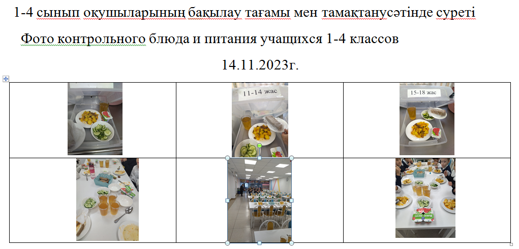 Тегін және ақылы мәзір 14.11.2023 ж./// Бесплатное и платное меню 14.11.2023г.