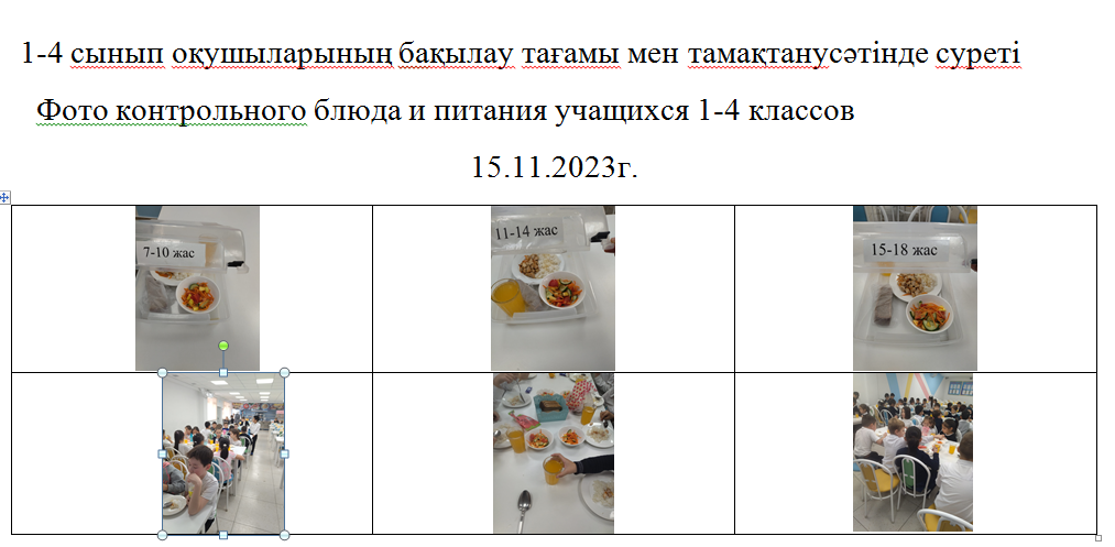 Тегін және ақылы мәзір 15.11.2023 ж./// Бесплатное и платное  меню 15.11.2023г