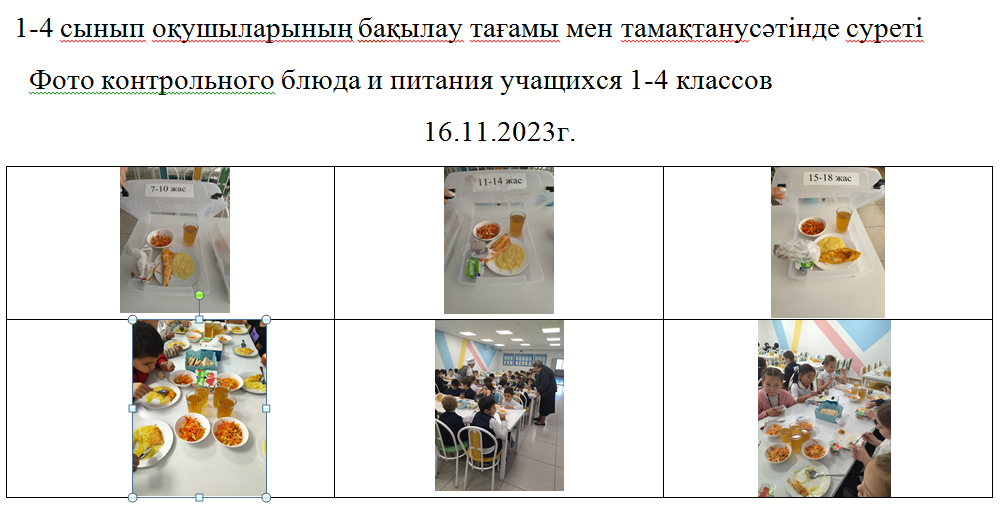 Тегін және ақылы мәзір 16.11.2023 ж№/// Бесплатное и платное меню 16.11.2023г.