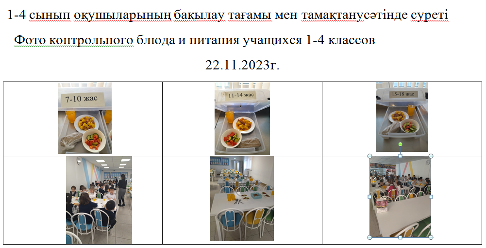 Тегін және ақылы мәзір 22.11.2023 ж./// Бесплатное и платное  меню  22.11.2023г.