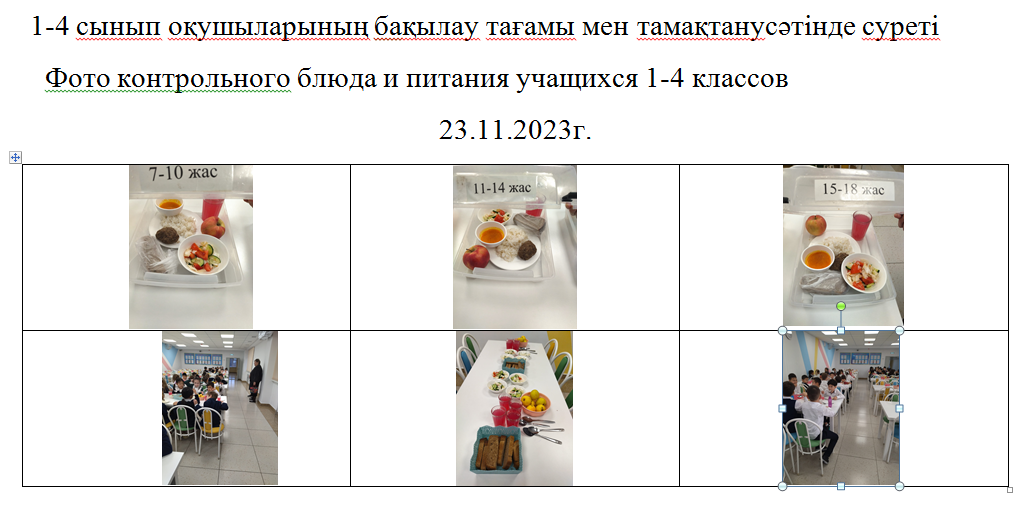Тегін және ақылы мәзір 23.11.2023 ж./// Бесплатное и платное меню 23.11.2023г.