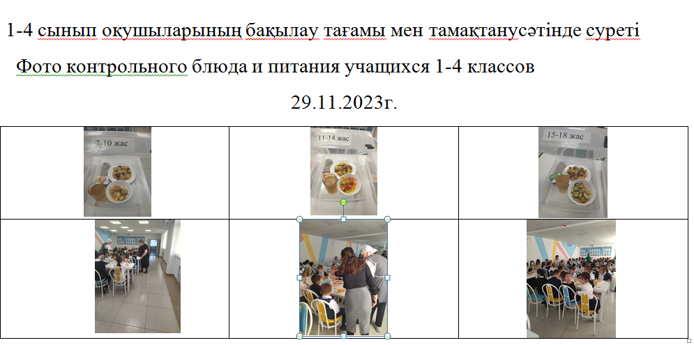 Ақылы және ақысыз мәзір 29.11.2023 ж./// Платное и бесплатное меню 29.11.2023г.