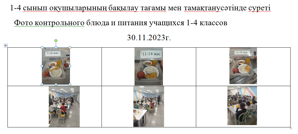 Ақылы және ақысыз мәзір 30.11.2023 ж./// Платное и бесплатное меню 30.11.2023г.
