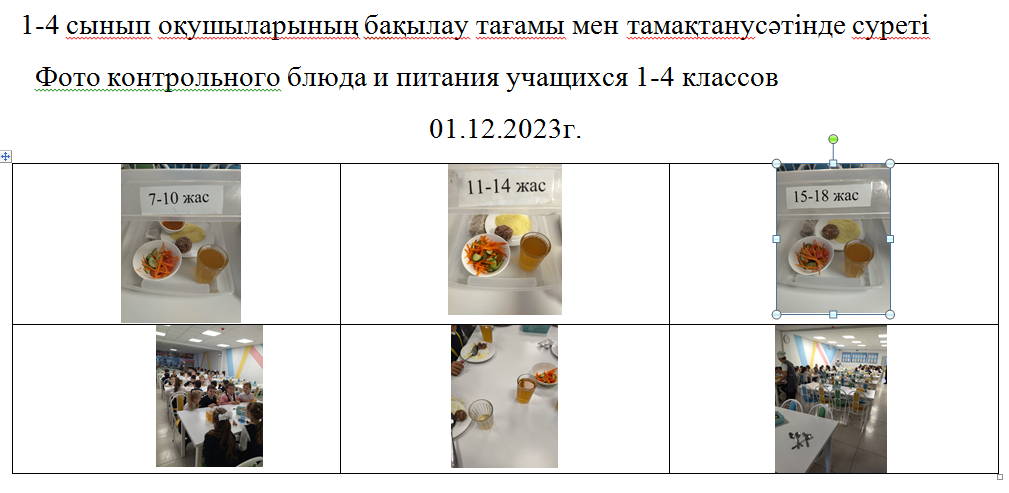 Тегін және ақылы мәзір 01.12.2023 ж./// Бесплатное и платное меню 01.12.2023г