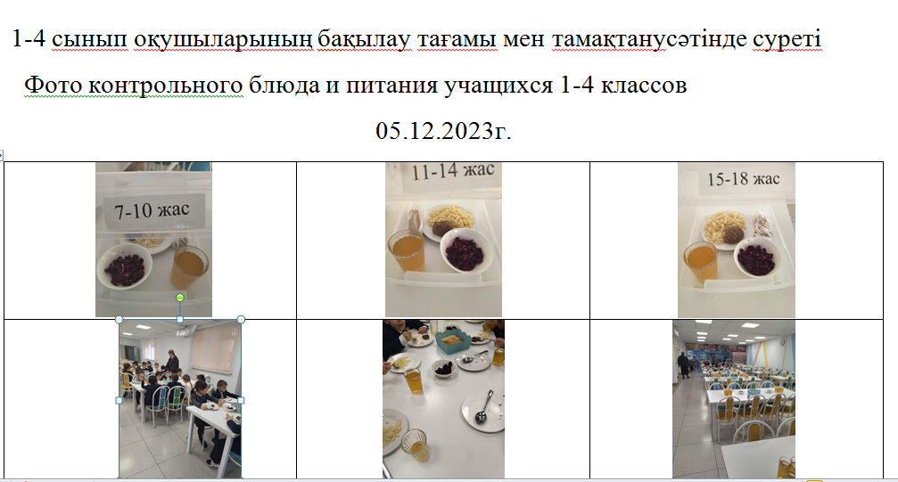 Тегін және ақылы мәзір 05.12.2023 ж./// Бесплатное и платное  меню  05.12.2023г