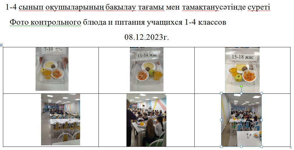 Ақылы және ақысыз мәзір 08.12.2023 ж./// Платное и бесплатное  меню 08.12.2023г.