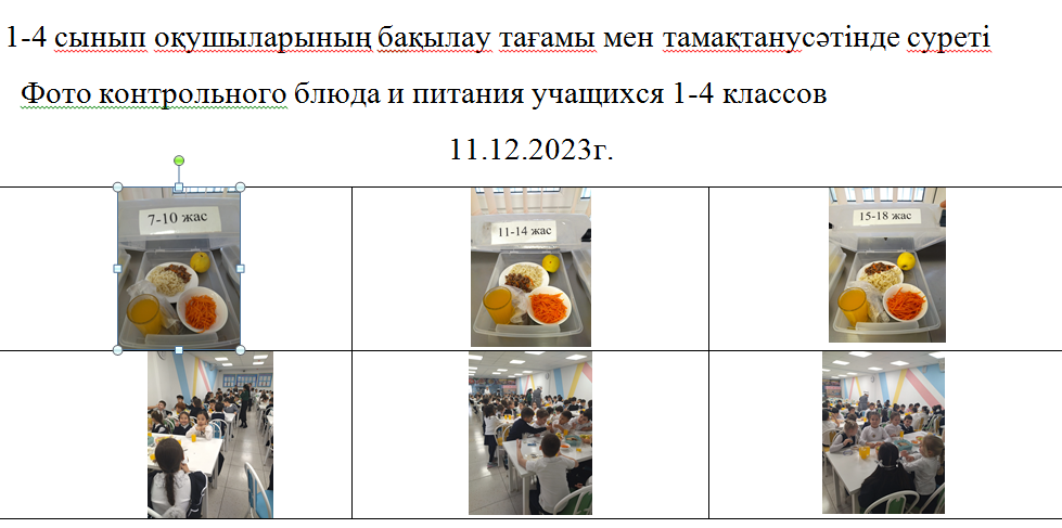Тегін және ақылы мәзір 11.12.2023 ж./// Бесплатное  и платное  меню 11.12.2023г