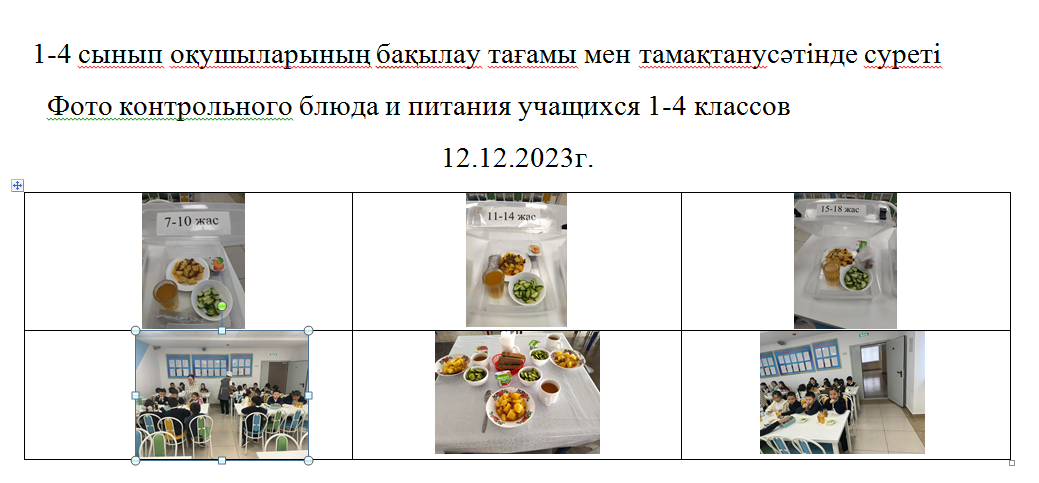 Тегін және ақылы мәзір 12.12.2023 ж./// Бесплатное и платное меню 12.12.2023г