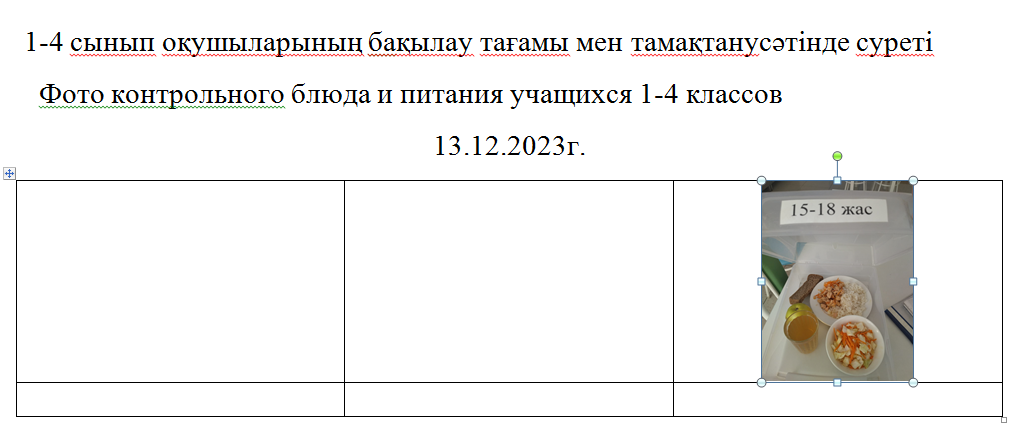 10-11 сыныптарға арналған ақысыз және ақылы мәзір 13.12.2023 ж./// Бесплатное и платное меню для 10-11 классов 13.12.2023г.