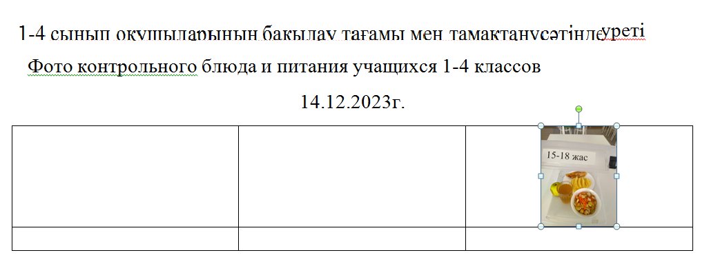 10-11 сыныптарға арналған ақысыз және ақылы мәзір. 14.12.2023 ж./// Бесплатное и платное меню для 10-11 классов. 14.12.2023г