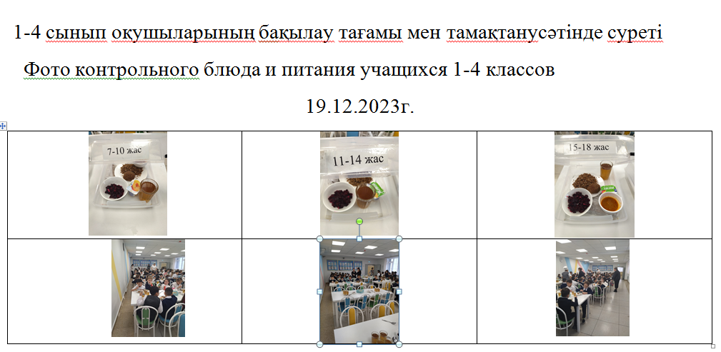 Тегін және ақылы мәзір 19.12.2023 ж./// Бесплатное и платное меню 19.12.2023г.