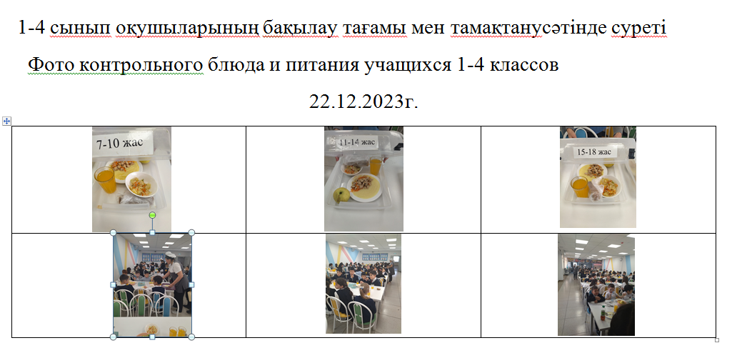 Ақылы және ақысыз мәзір 22.12.2023 ж./// Платное и бесплатное меню 22.12.2023г