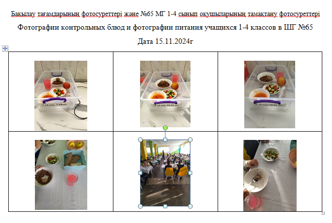 Күнделікті тегін мәзір 1-4 сыныптар үшін, 5-11 сыныптар үшін  ХӘОТ  санатынан. 15.11.2024 ж./// Ежедневное  бесплатное меню для 1-4кл., для 5-11кл.