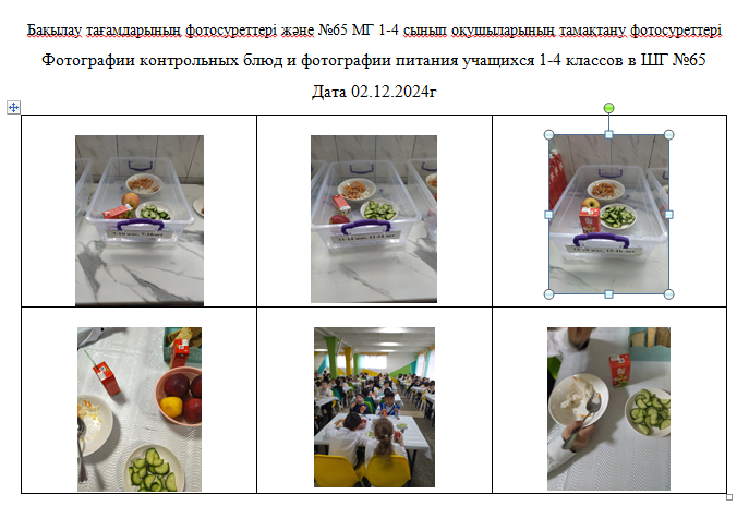 Күнделікті тегін мәзір1-4 сыныптар үшін, ХӘОТ санатындағы 5-11 сыныптар үшін.02.12.2024 ж./// Ежедневное бесплатное меню для 1-4кл., для 5-11кл.  СУСН