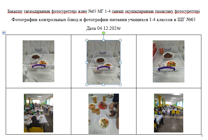ХӘОТ  санатындағы 5-11 сыныптар үшін 1-4 сыныптарға арналған күнделікті тегін мәзір.  04.12.2024 ж./// Ежедневное бесплатное меню для 1-4кл., для 5-11