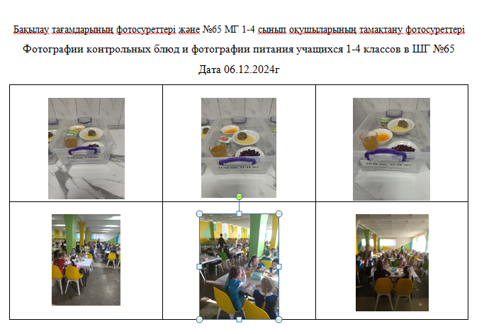 ХӘОТ санатындағы 5-11 сыныптарға арналған 1-4 сыныптарға арналған күнделікті тегін мәзір.  06.12.2024ж./// Ежедневное  бесплатное меню для 1-4кл.,