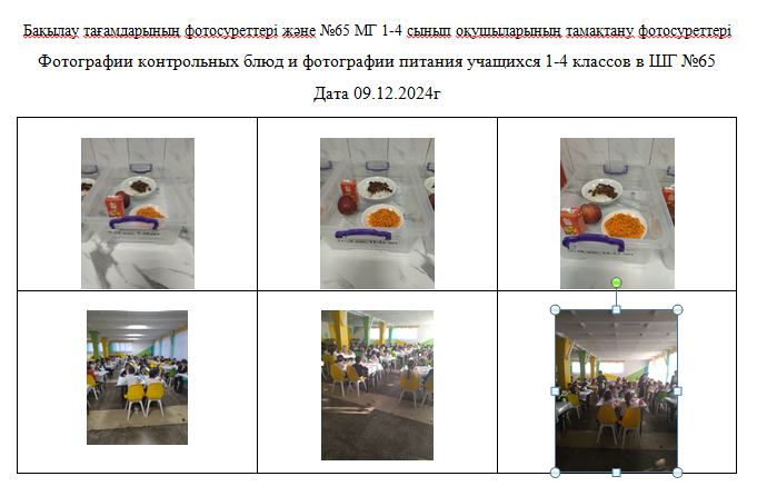 Күнделікті тегін мәзір 1-4 сыныптар үшін, 5-11 сыныптар үшін ХӘОТ санатынан. 09.12.2024 ж./// Ежедневное бесплатное меню для 1-4кл., для 5-11кл. СУСН