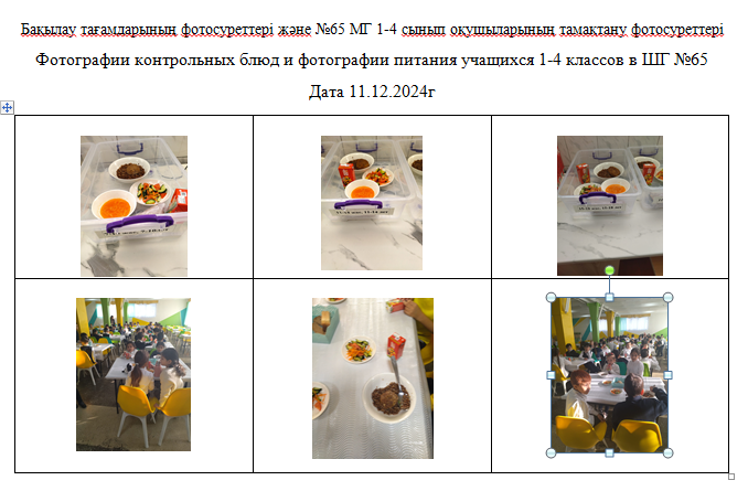 ХӘОТ  санатындағы 5-11 сыныптар үшін 1-4 сыныптарға арналған күнделікті тегін мәзір. 11.12.2024 ж./// Ежедневное  бесплатное меню для 1-4кл., 5-11кл.