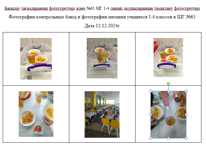 Күнделікті тегін мәзір 1-4 сыныптар үшін, 5-11 сыныптар үшін  ХӘОТ  санатынан.   12.12.2024 ж./// Ежедневное  бесплатное меню 1-4кл., для 5-11кл.СУСН