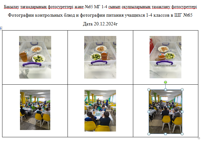 ХӘОТ  санатындағы 5-11 сыныптар үшін 1-4 сыныптарға арналған күнделікті тегін мәзір. 20.12.2024 ж./// Ежедневное бесплатное меню для 1-4кл., для 5-11к